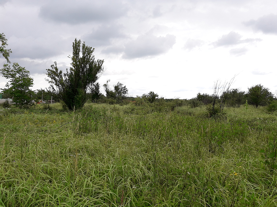 Teren extravilan de vanare Oradea - Paleu T06