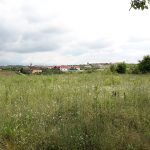 teren intravilan de vanzare Paleu T09