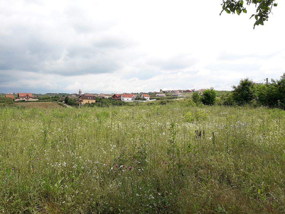 teren intravilan de vanzare Paleu T09