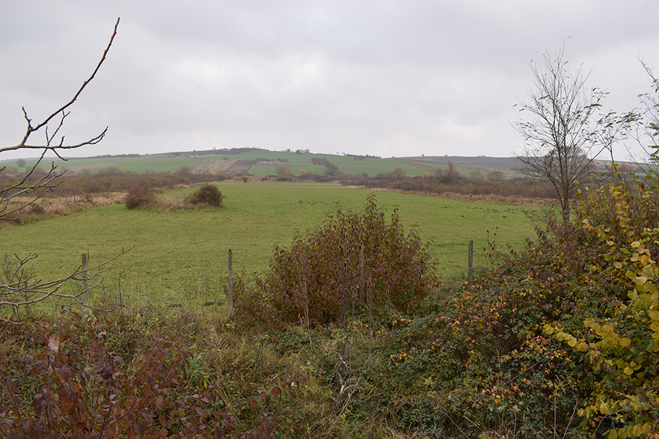 teren-de-vanzare-Paleu-T26